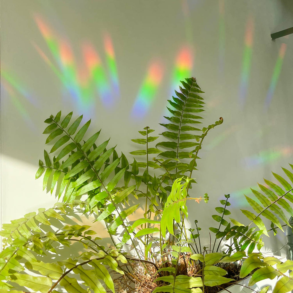 Regenbogen Aufkleber – You are loved