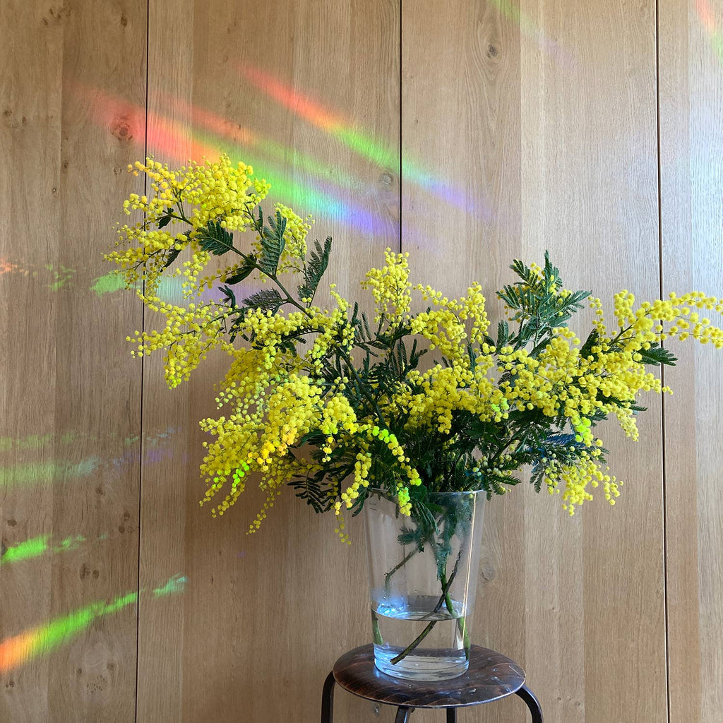 Regenbogen Aufkleber - Slow down and soak it up