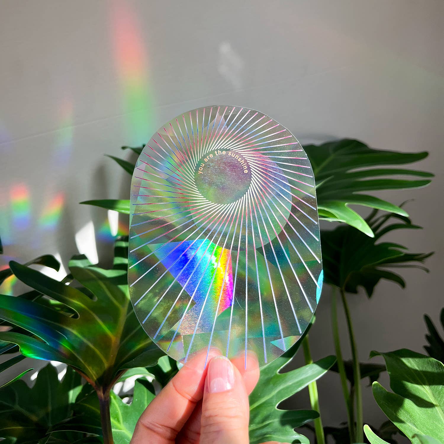Regenbogen Aufkleber – You are the sunshine