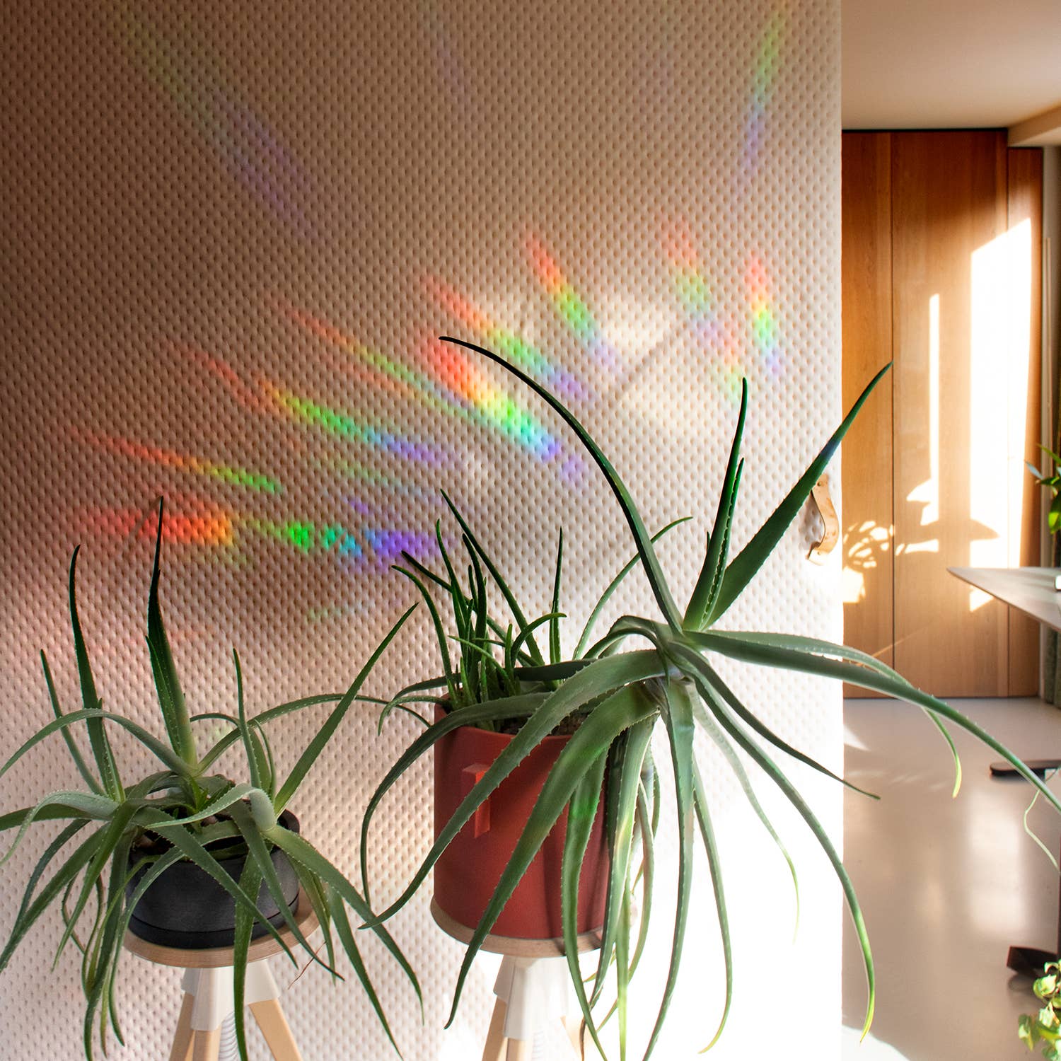 Regenbogen Aufkleber - Slow down and soak it up